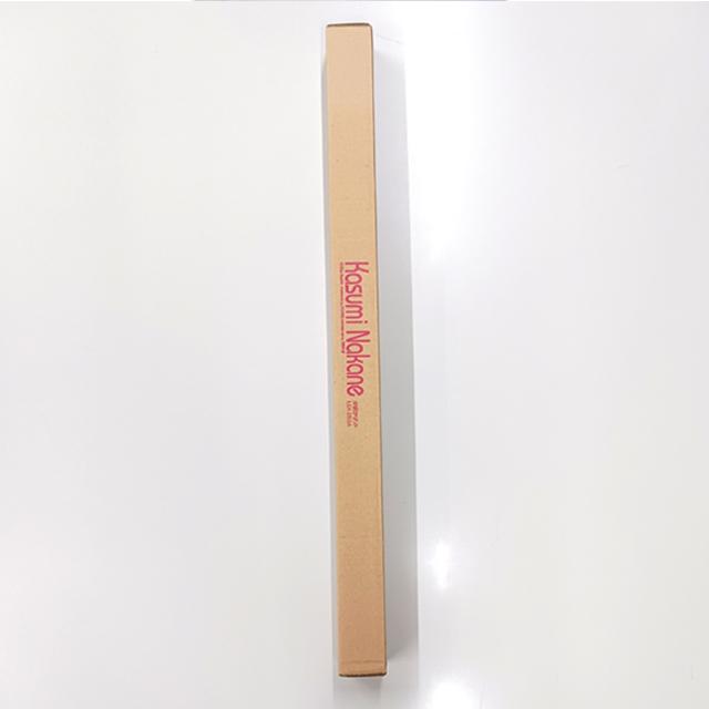 仲根かすみ等身大水着ポスター 壁掛け 175x69.5cm グラビア タレント
