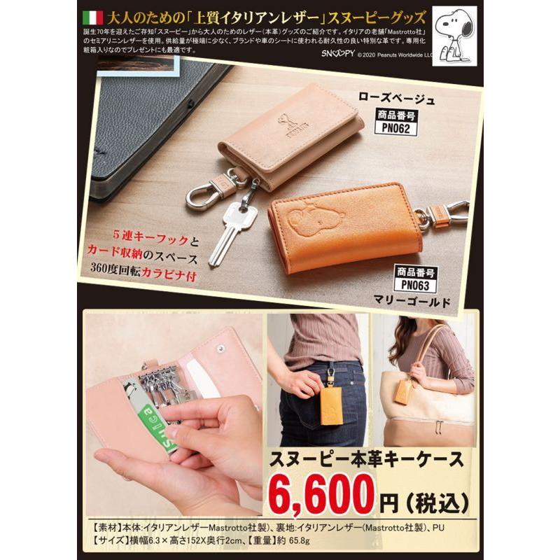 11/21まで）中古美品スノボ！ カバー、服、手袋、ゴーグル、ワックス