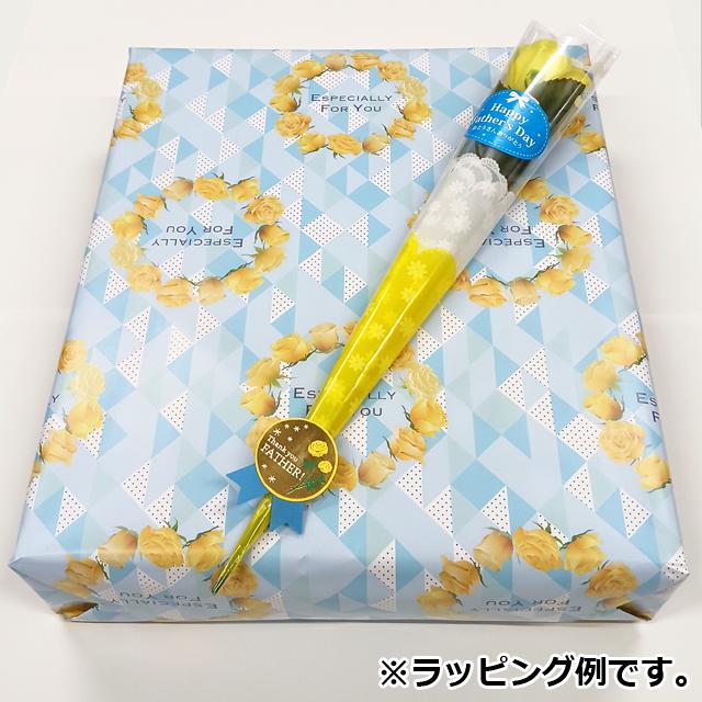 足腰が強くなる！リビングで砂浜ウォーク！左右セパレート式サンド