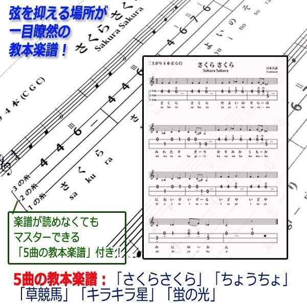 かんたん三味線「SHAMIKOシャミコ」特別セット［ブラック塗装］(テレビ
