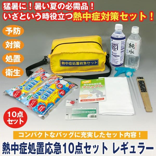 熱中症処置応急10点セットレギュラー 熱中症対策セット キット 猛暑 スポーツ レジャー 現場 公式 水分補給 応急マニュアル 学校 部活 塩分補給 冷却