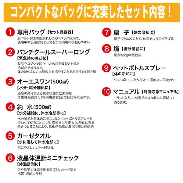 熱中症処置応急10点セットレギュラー 熱中症対策セット キット 猛暑 スポーツ レジャー 現場 公式 水分補給 応急マニュアル 学校 部活 塩分補給 冷却