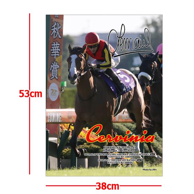 爆買 チェルヴィニア 2024年秋華賞 ジグソーパズル 500ピース 38×53cm