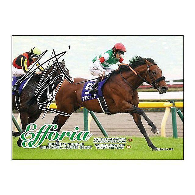 エフフォーリア」ジグソーパズル500ピース (競馬 競走馬 38×53cm 現役最強馬 新時代の王 エフフォーリアグッズ :SNT-EJP:プレミアムポニー 通販 エフフォーリア ボールペン 競馬グッズ