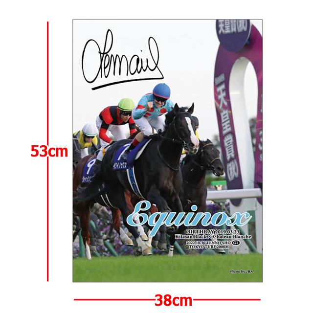 イクイノックス」ジグソーパズル500ピース (競馬 競走馬 38×53cm イクイノックス」ジグソーパズル500ピース (競馬 競走馬 38×53cm