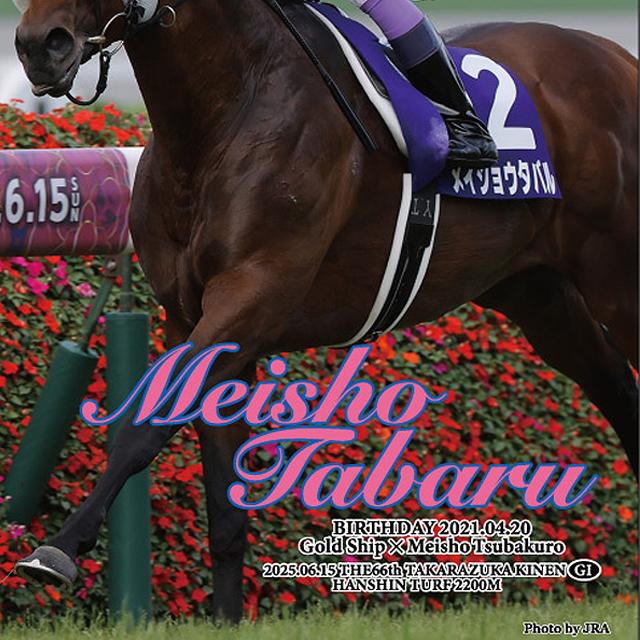 爆買 メイショウタバル 2025年宝塚記念ジグソーパズル 500ピース木製