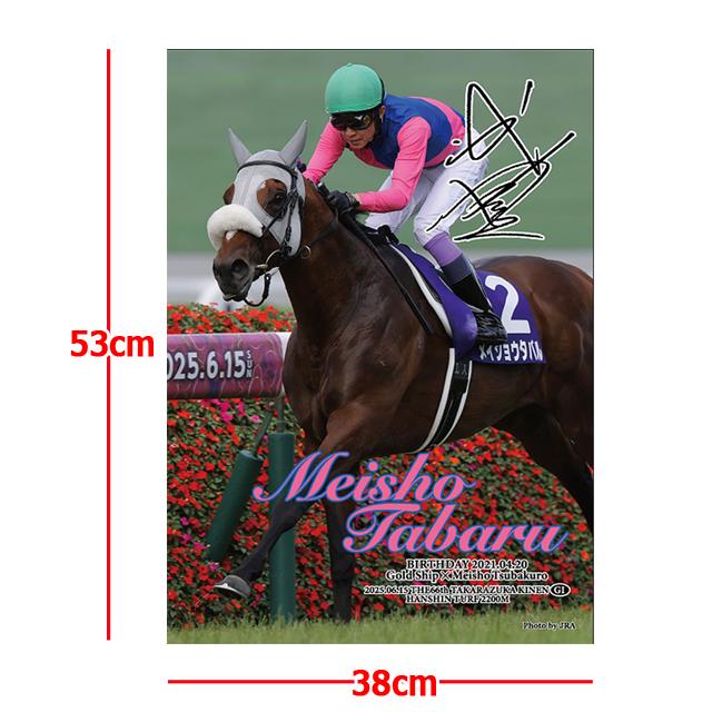 爆買 メイショウタバル 2025年宝塚記念ジグソーパズル 500ピース木製