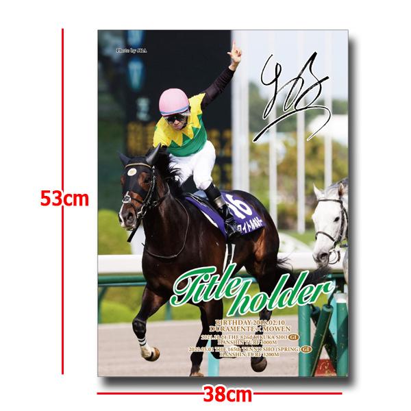 タイトルホルダー」ジグソーパズル500ピース (競馬 競走馬 38×53cm