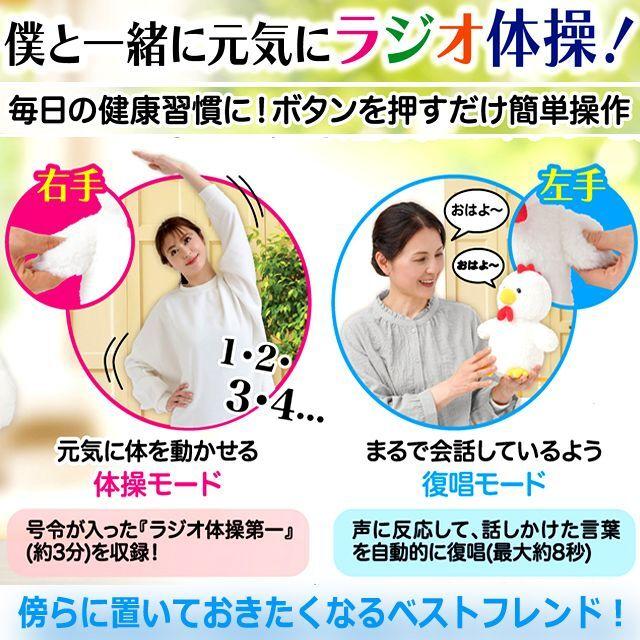 敬老の日 ラジオ体操 運動 早起き ぬいぐるみ モノマネ 復唱 健康習慣