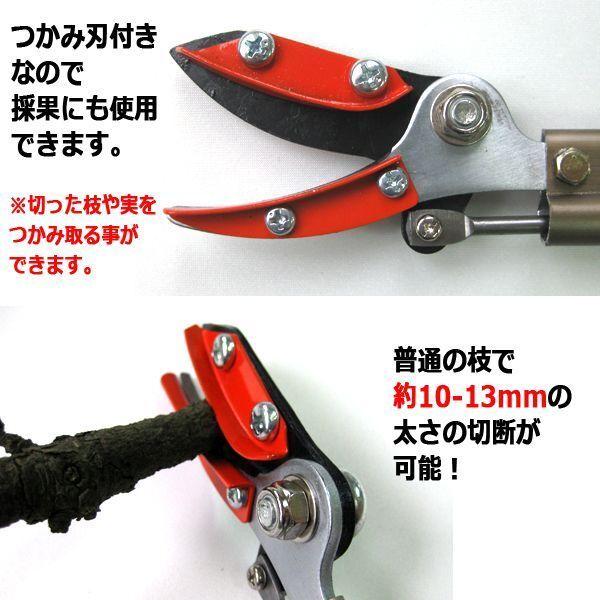 長すぎないから使いやすい！超軽量高枝切りバサミ1M (実 採果 つかみ刃