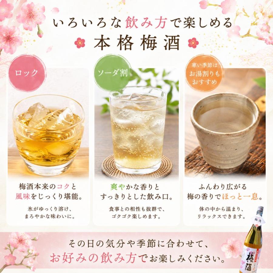 白玉醸造 彩煌の梅酒 1800ml 九州 鹿児島県 さつまの梅酒 1.8L
