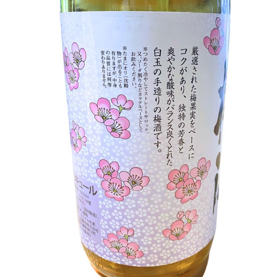 白玉醸造 彩煌の梅酒 1800ml 九州 鹿児島県 さつまの梅酒 1.8L
