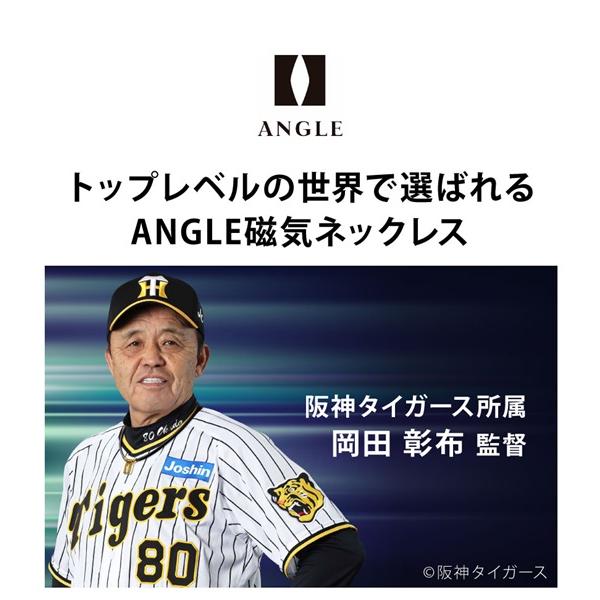 ANGLE アングル 磁気ネックレス e.MODEL 01 NECKLACE 医療機器 ANGLE アングル 磁気ネックレス e.MODEL 01 NECKLACE 医療機器