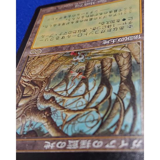 マジック・ザ・ギャザリング MTG ガイアの揺籃の地 Gaea's Cradle 日本