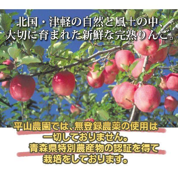 りんごジュース 5本セット 果汁100％ ふじ＆紅玉＆ミックス 青森県弘前平山農園作 |  | 01