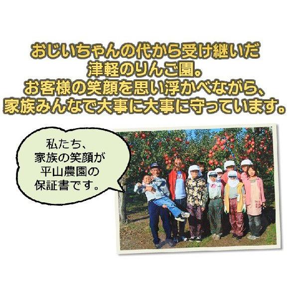 りんごジュース 5本セット 果汁100％ ふじ＆紅玉＆ミックス 青森県弘前平山農園作 |  | 03