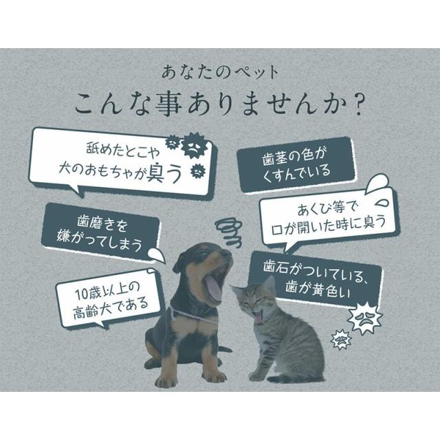 Dr St オーラルワン ペット 犬 猫 お口ケア 口臭 歯垢 歯石 虫歯 歯周病 歯磨き デンタルケア 送料無料 獣医師 大学共同開発 安全性テスト済 13cn002 Premium Mall 通販 Yahoo ショッピング