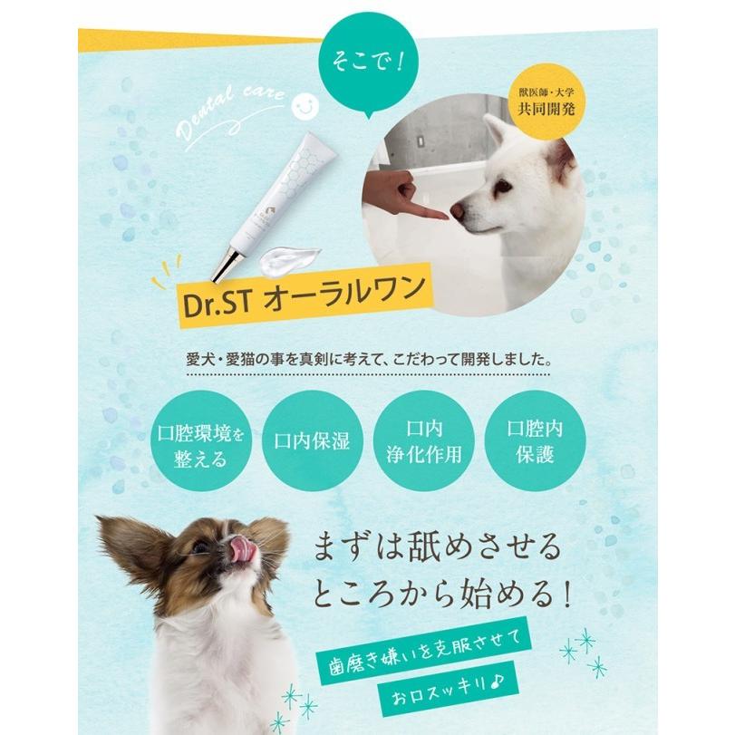 Dr St オーラルワン ペット 犬 猫 お口ケア 口臭 歯垢 歯石 虫歯 歯周病 歯磨き デンタルケア 送料無料 獣医師 大学共同開発 安全性テスト済 13cn002 Premium Mall 通販 Yahoo ショッピング