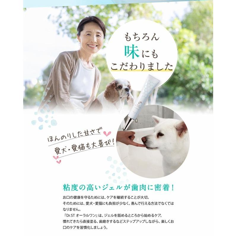 Dr St オーラルワン ペット 犬 猫 お口ケア 口臭 歯垢 歯石 虫歯 歯周病 歯磨き デンタルケア 送料無料 獣医師 大学共同開発 安全性テスト済 13cn002 Premium Mall 通販 Yahoo ショッピング
