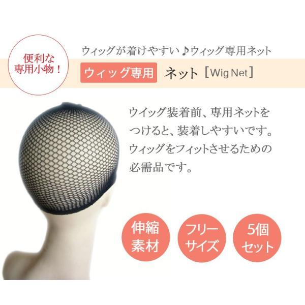 ウィッグネット 超お得な5点セット ウィッグ専用ネット5NET |  | 01