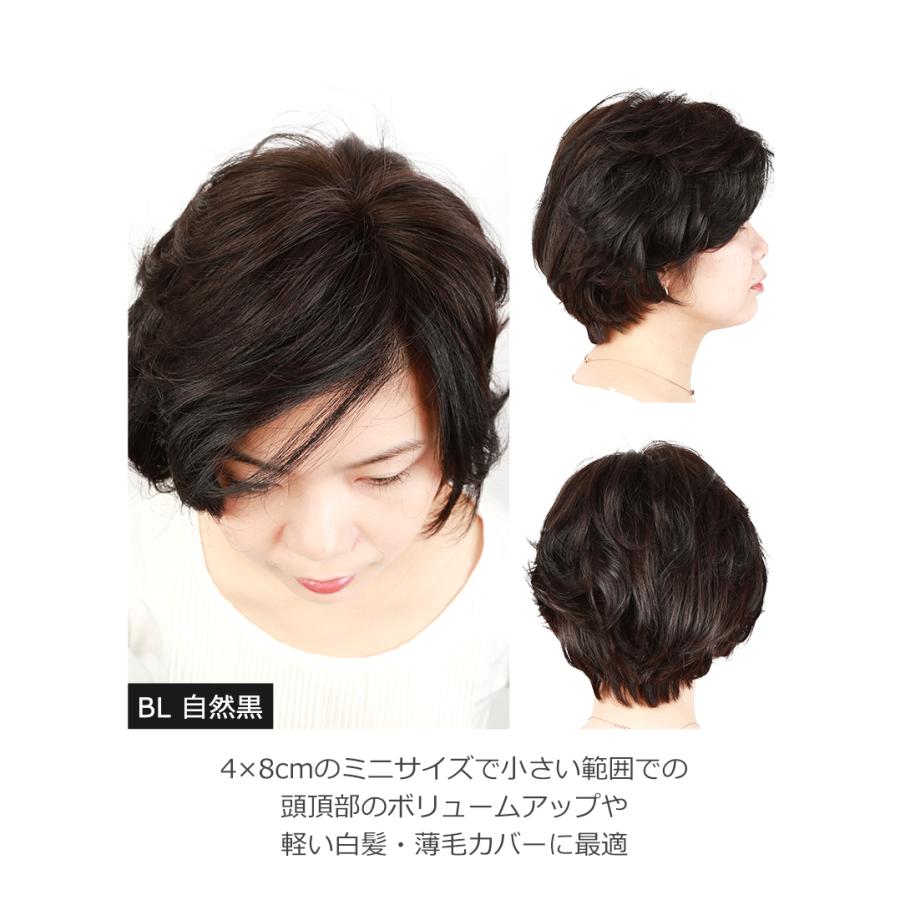 部分ウィッグ 全国カット 返品交換OK 小面積 4×8cm 頭頂部 人毛 自然 白髪隠し 地肌風総手植え ウィッグ 高品質 エレガント ふんわり 私元気 BHADS48_7
