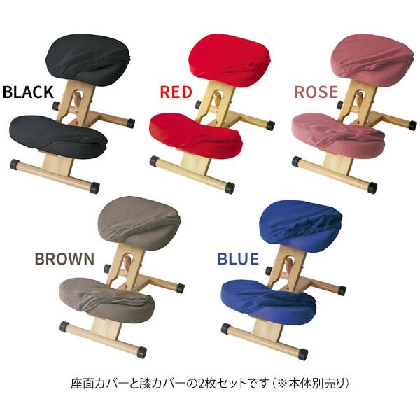 替えカバーのみ 2枚セット プロポーションチェア用（チェア本体別売り）大人 キッズ 子供 CV-8W | 宮武製作所 | 08