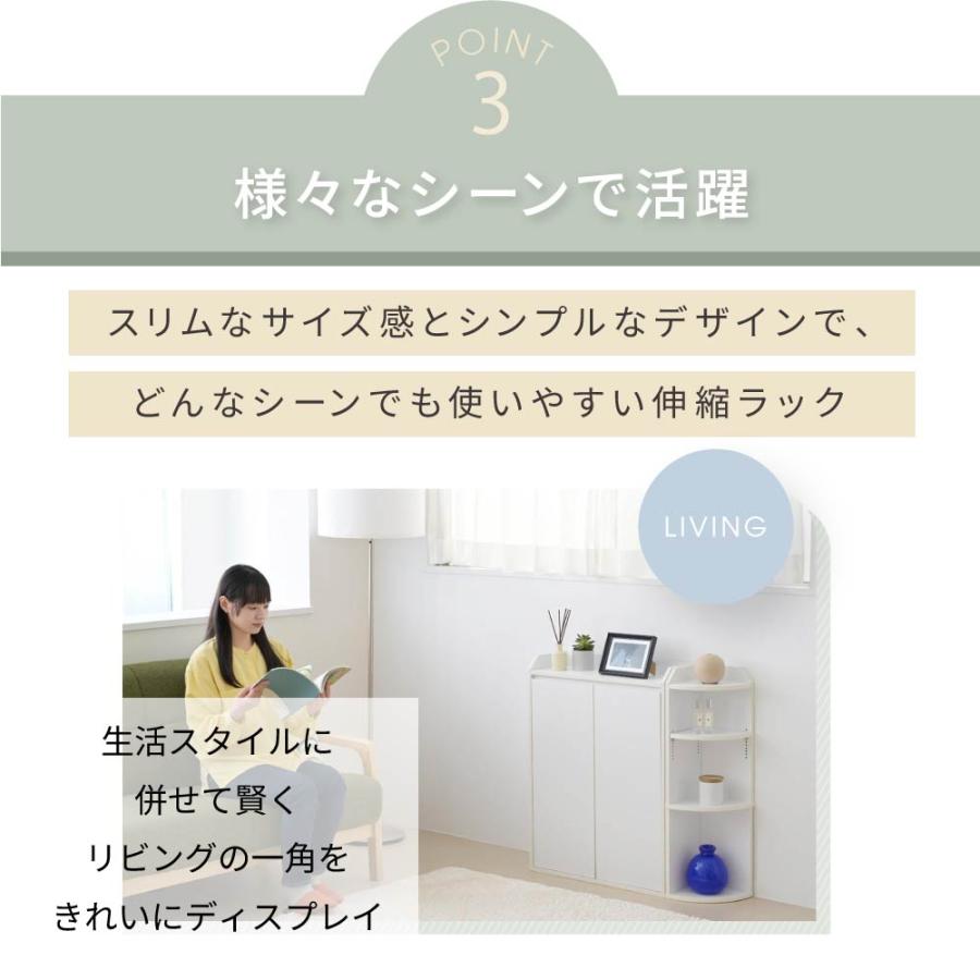 JK-PLAN（ジェイケイ・プラン） カウンター下収納 薄型 コーナーラック