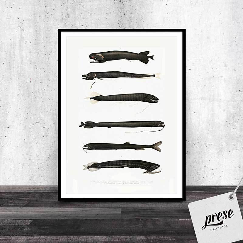 シュールな深海魚コレクション 226 プレゼアート 通販 Yahoo ショッピング