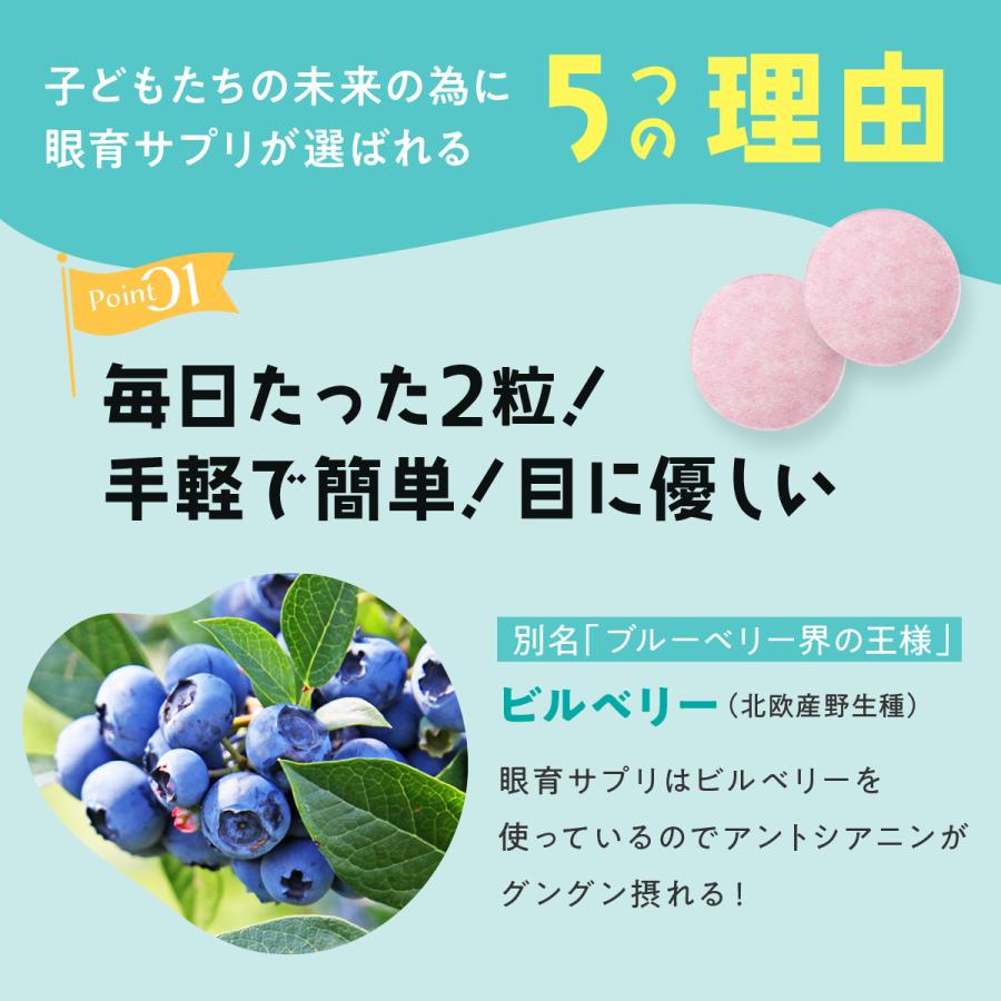 子供 サプリ 眼育サプリ めいく ビタミン 500mg×60粒 1ヶ月分 視力 目のサプリ 疲れ 眼 栄養 日本製｜present-store｜13