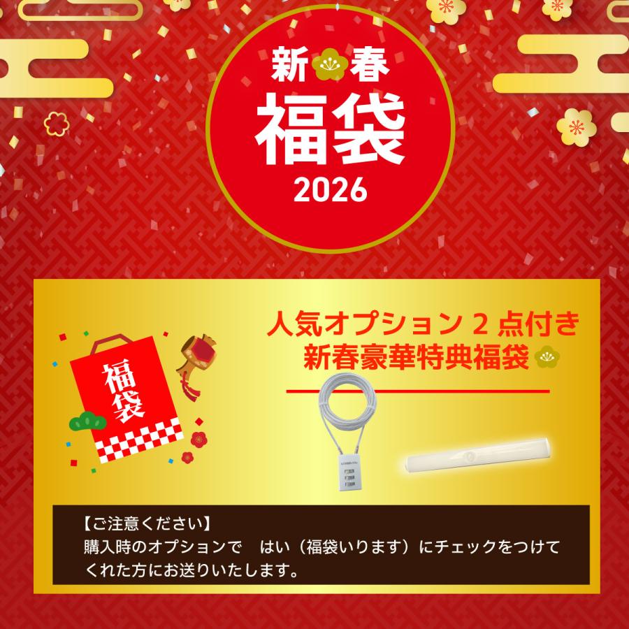 ＼福袋 人気オプション付き／ 宅配ボックス 補助金 戸建 防水 複数投函おしゃれ 置き配ボックス 大型 ルスネコボックス スタンダード 暗証番号 ゼロリターンキー | ルスネコボックス | 08