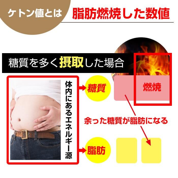 ケトンブレスメーター 測定器 チェッカー 糖質制限 糖質 ケトンメーター ケトン ケトスキャン ケトスティックス ケトン値 ケトン体チェッカー　呼吸式 