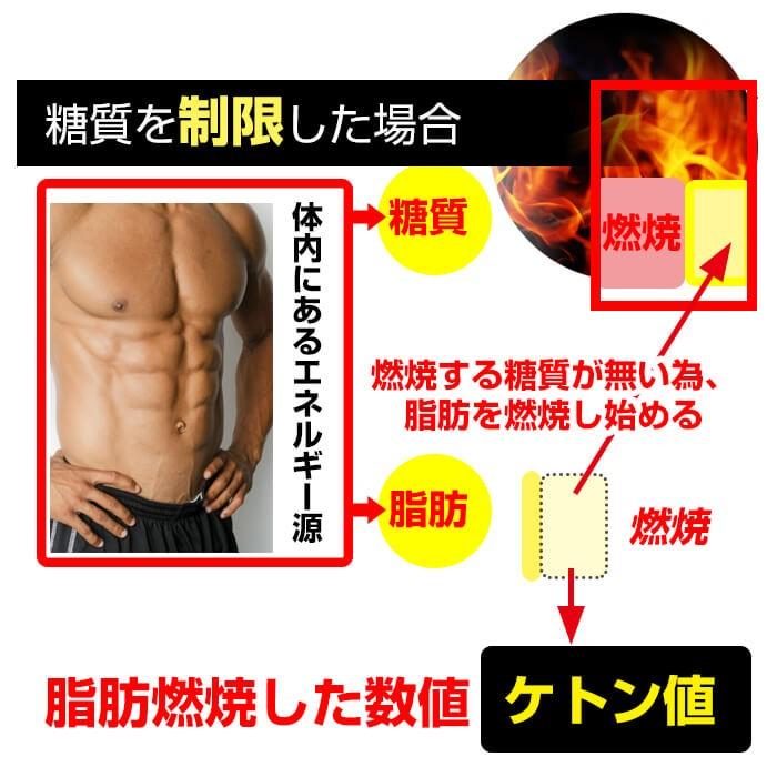 ケトンブレスメーター 測定器 チェッカー 糖質制限 糖質 ケトンメーター ケトン ケトスキャン ケトスティックス ケトン値 ケトン体チェッカー　呼吸式 