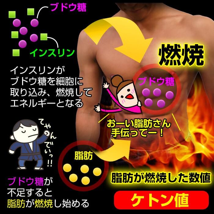 ケトンブレスメーター 測定器 チェッカー 糖質制限 糖質 ケトンメーター ケトン ケトスキャン ケトスティックス ケトン値 ケトン体チェッカー　呼吸式 