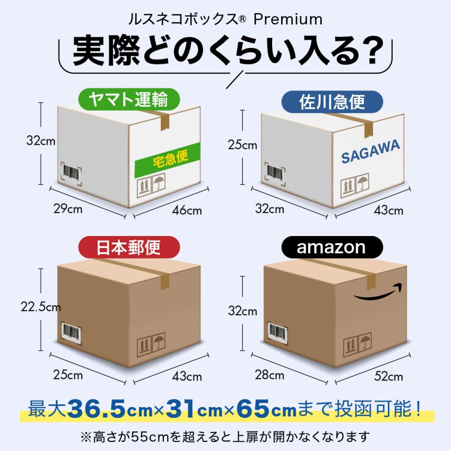 ルスネコボックス ＼祝 TV紹介 サンクス価格 2千円OFF 6/14迄／ 宅配