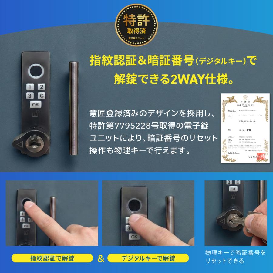 ルスネコボックス 宅配ボックス 戸建 大型 防水 屋外 ポスト 一体型 大