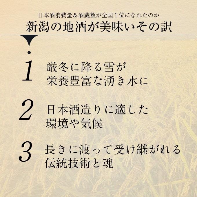 日本酒 飲み比べ 父の日 退職祝い ギフト 贈り物 おしゃれ 新潟コシヒカリ純米大吟醸 柏露 × 大吟醸 白龍 本生一年熟成生原酒 720mlセット｜present｜10