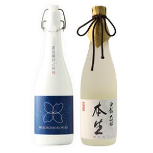 日本酒 飲み比べ 父の日 退職祝い ギフト 贈り物 おしゃれ 新潟コシヒカリ純米大吟醸 柏露 × 大吟醸 白龍 本生一年熟成生原酒 720mlセット｜present｜06