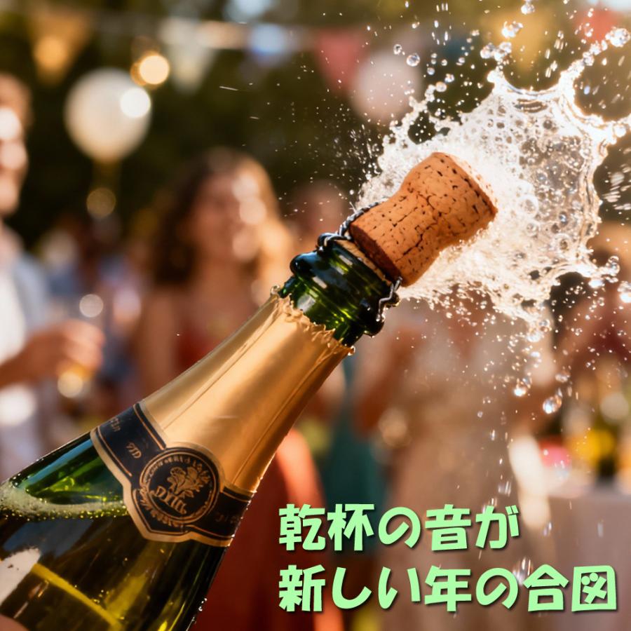 御歳暮  お歳暮 2026 令和8年 干支ラベル  スパークリングワイン 750ml ギフト 化粧箱入り 午年  御年賀 お年賀 年始ご挨拶 新年 |  | 03