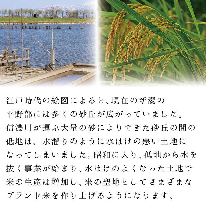 お年賀 ギフト お酒 プレゼント 男性 女性 人気 内祝い 高級 日本酒 純米大吟醸 光砂 720ml 新潟地酒 ソーシャルギフト | 高野酒造 | 03