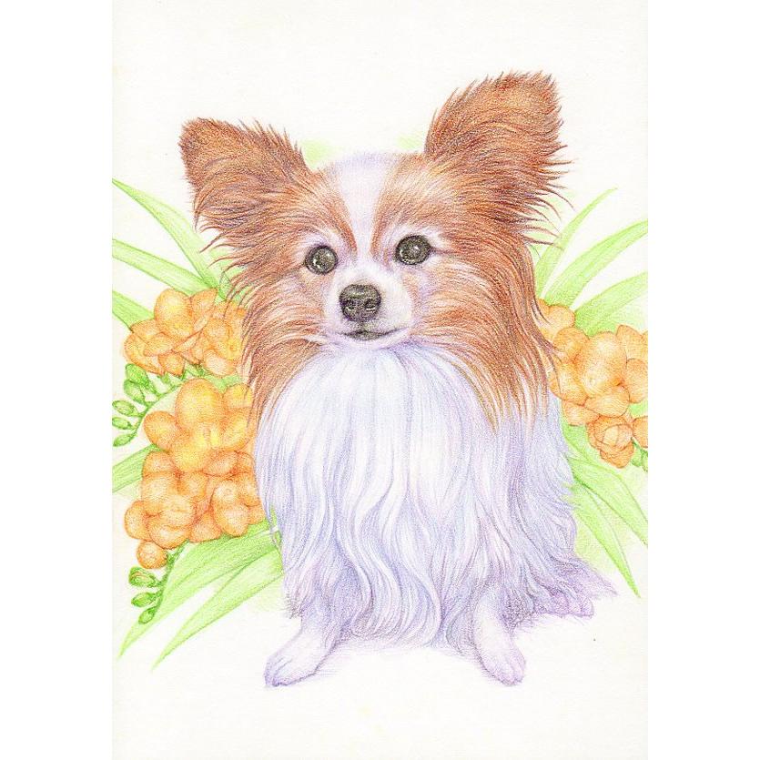 ペット 似顔絵 プレゼント 贈り物 お祝い 愛犬 位牌 愛猫 誕生日 自画像 お悔み 供養 ギフト 写真 手作り 記念品 名入れ 記念日 犬用 猫用 ドッグ 写実絵画 079 誕生日プレゼント ネット 通販 Yahoo ショッピング