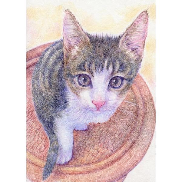 ペット 似顔絵 プレゼント 贈り物 お祝い 愛犬 位牌 愛猫 誕生日 自画像 お悔み 供養 ギフト 写真 手作り 記念品 名入れ 記念日 犬用 猫用 ドッグ「写実絵画」｜presentnet｜07