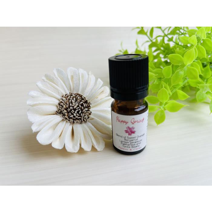 アロマフレグランスデザイナー香りの演出家 Ayako プロデュース「季節を旅するアロマブレンドオイル」エッセンシャルオイル 精油 100% 天然 (ギフト 贈り物） |  | 02