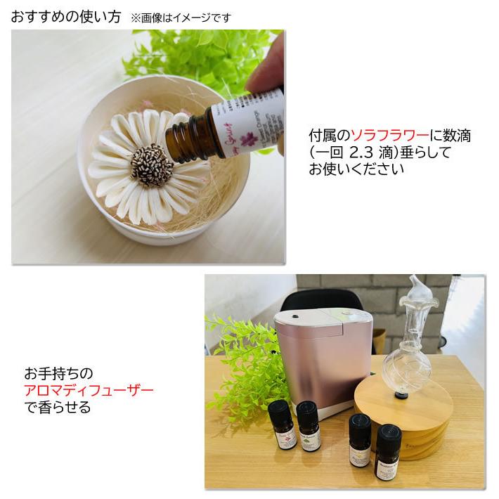 アロマフレグランスデザイナー香りの演出家 Ayako プロデュース「季節を旅するアロマブレンドオイル」エッセンシャルオイル 精油 100% 天然 (ギフト 贈り物） |  | 05