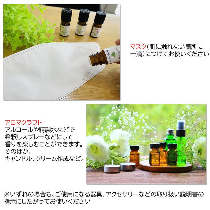 アロマフレグランスデザイナー香りの演出家 Ayako プロデュース「季節を旅するアロマブレンドオイル」エッセンシャルオイル 精油 100% 天然 (ギフト 贈り物） |  | 07