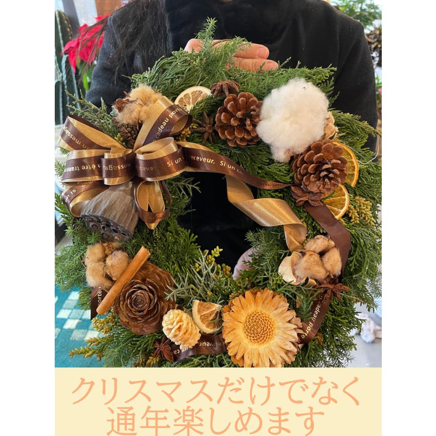 クリスマスリース 手作り 北欧 ナチュラル led 玄関 おしゃれ 大きい