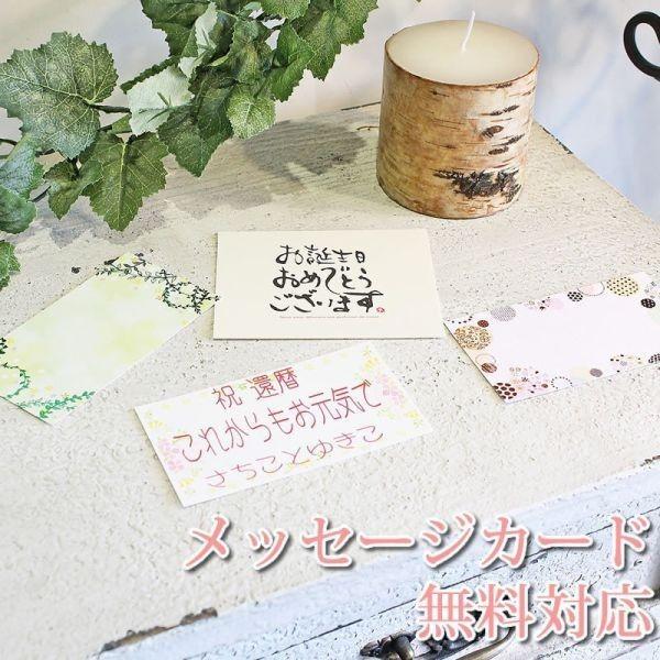 母の日 送別 送別の花 プレゼント プリザーブドフラワー 写真立て プレゼント アレンジ フォトフレーム 手作り キット Frame Kit2 プリザーブドフラワーコレクション 通販 Yahoo ショッピング