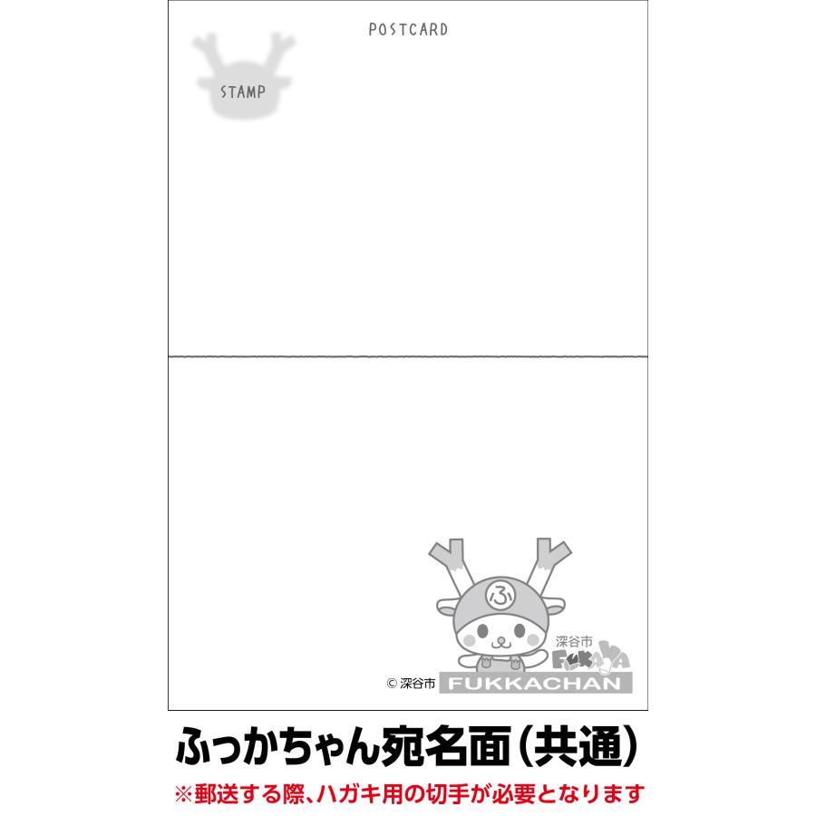 夏のおたより ふっかちゃん版 私製葉書 1種類5枚セット |  | 04