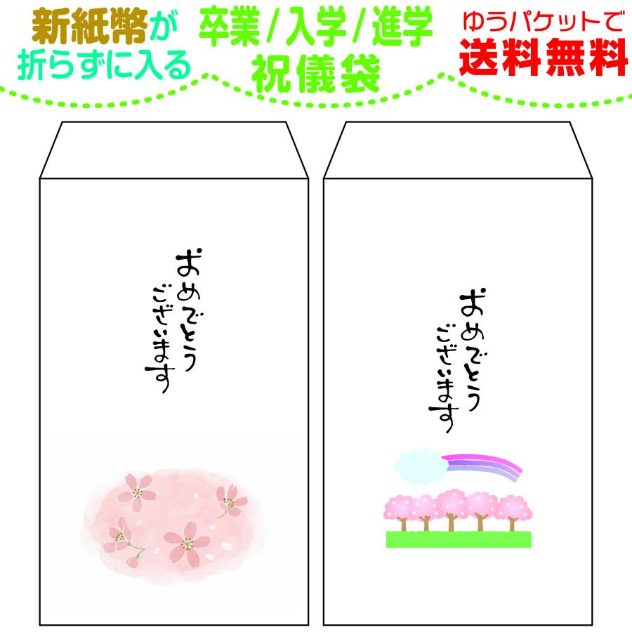 卒業・入学・進学用 新紙幣が折らずに入る ちょっと大きめ祝儀袋  1種類3枚セット | 