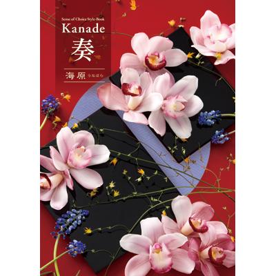 50 Off カタログギフト 奏 かなで 海原 うなばら 50 800円コース 公式 Www Thedailyspud Com