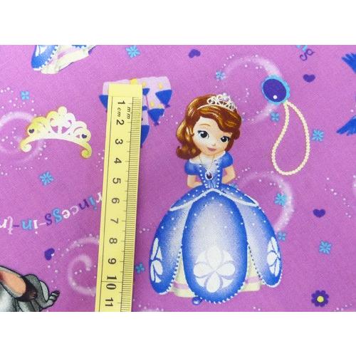 ソフィア様 専用 パネル生地 割引 ソフィア様 専用 パネル生地